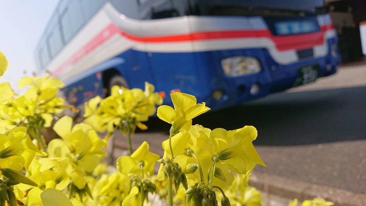 長崎バス観光（公式）🚌 tweet media