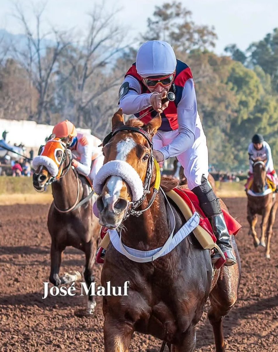 Información real de Daiwa Scarlet tweet media