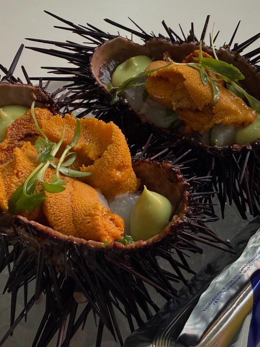 Chris, PhD tweet media