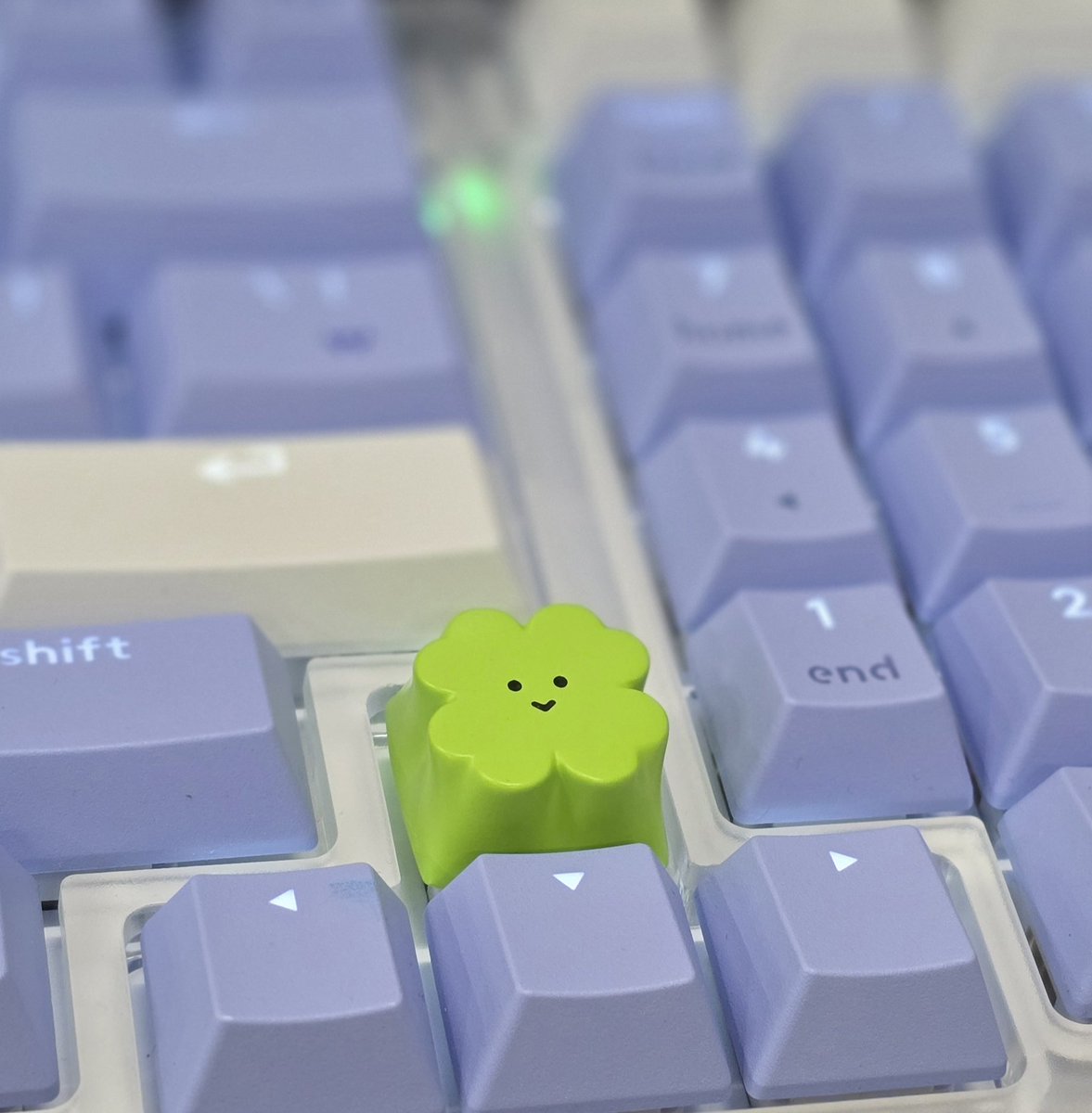 금자🕯 tweet media