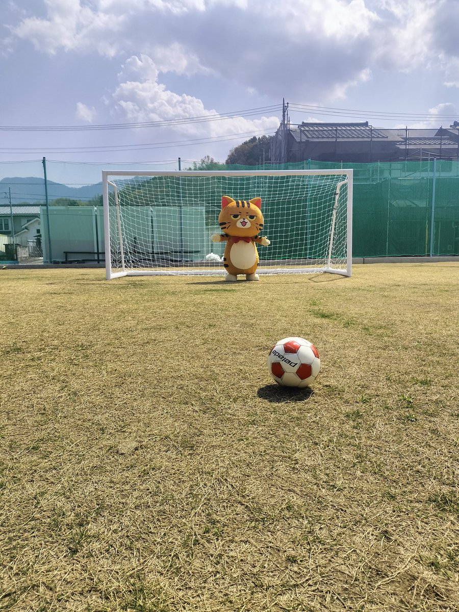 とみせかけて営業までには終わらせた。1時間睡眠。
xxxxxx.lp-web.net
高菜先生の公式サイトもできたよ。