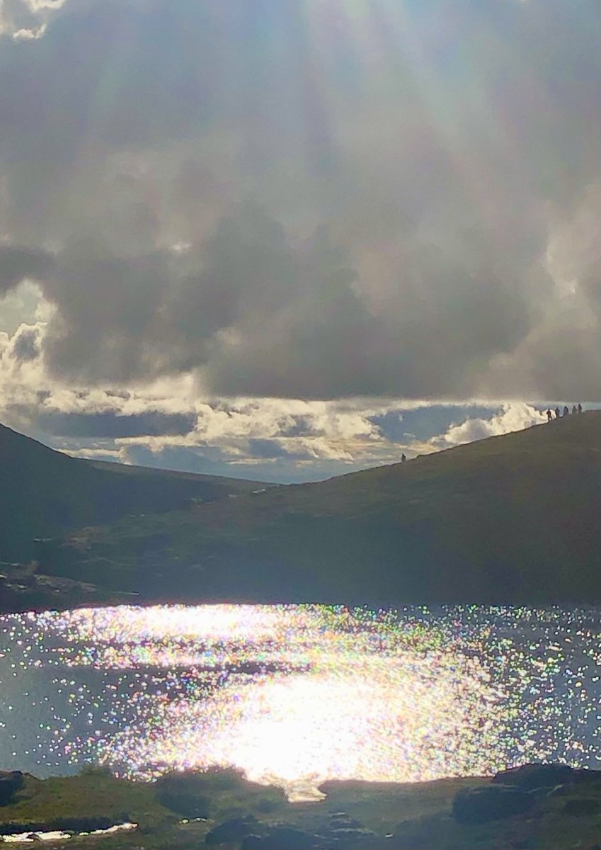 Audre Boggs tweet media