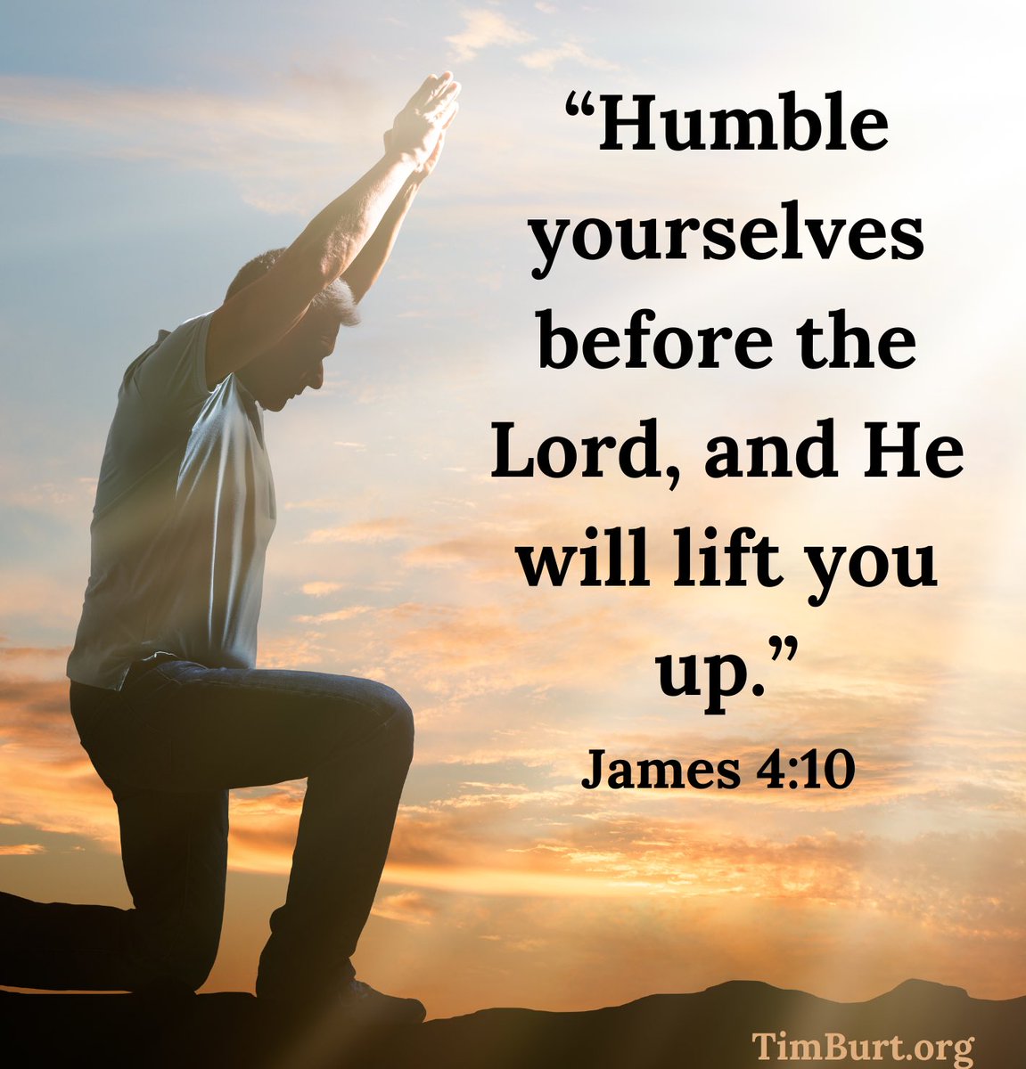 Timothy Burt tweet media