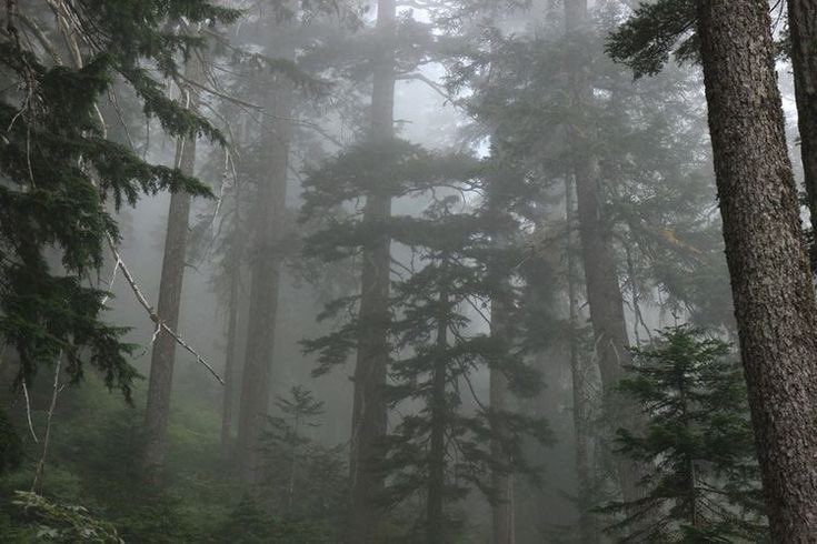 ⋆.˚⊹♡⊹˚.⋆ (@zara_theebest) on Twitter photo 