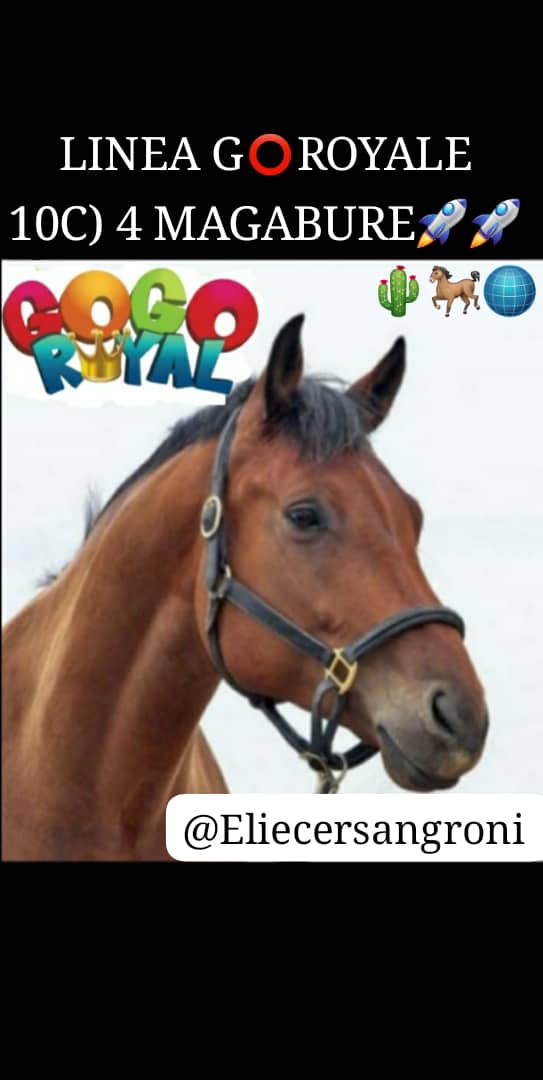 Eliecersangroni's tweet photo. ELIECER SANGRONIS 🌵🐎🌐
DOMINGO 05/04/26
AQUI ESTA LA LINEA DE #GogoRoyal G⭕
INGRESA EN
https://t.co/Rlcms3njOO
LINEA🟢🚀💰
10C) 4 MAGABURE
#HIPISMO #CABALLOS #5Y6
#ApuestasRoyal #GogoRoyal
#Domingo https://t.co/1zUahQPyPf