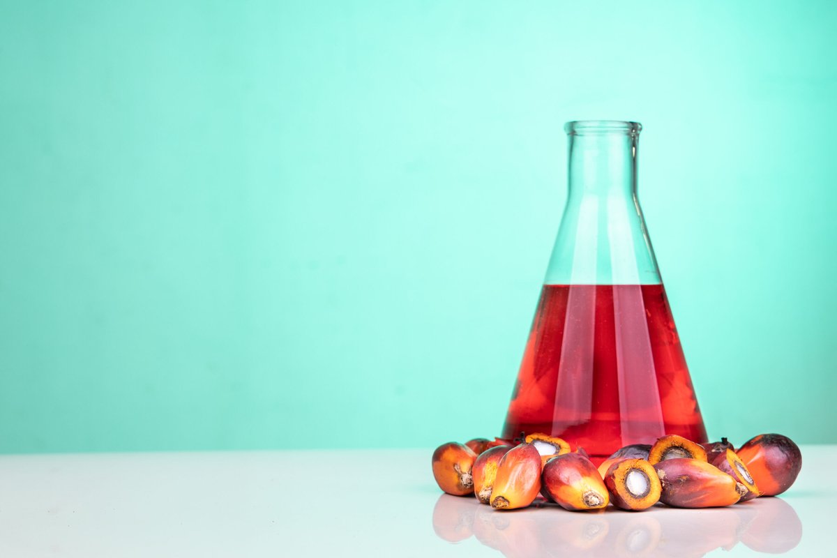 mpocHQ's tweet photo. Daily Palm Oil Price (31 March 2026)
Source: https://t.co/Rr4V14hYMb
Follow #MPOC social media channels for daily #PalmOilPrice updates. https://t.co/Hm6uCauwUj