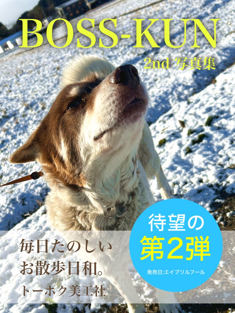 ㈲トーホク美工社🪧 tweet media