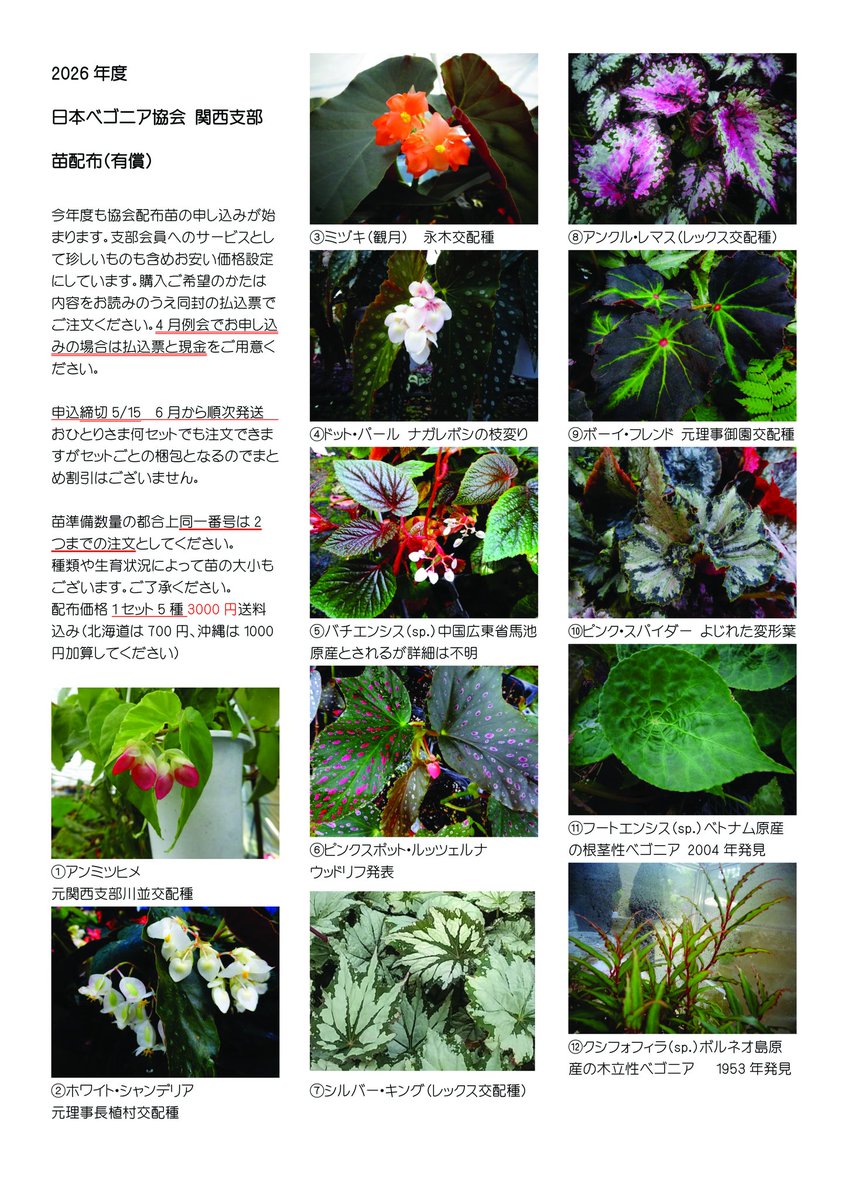 ＃日本ベゴニア協会関西支部　独自の有償配布苗の申し込みが始まります。
当支部では厳選した全ジャンルのベゴニアの中からひと鉢あたり自己負担わずか600円で立派な苗をお届けするシステムがございます。
入会ご希望の方は
＃日本ベゴニア協会 HP から関西支部を選択。
↓
j-begonia.org
