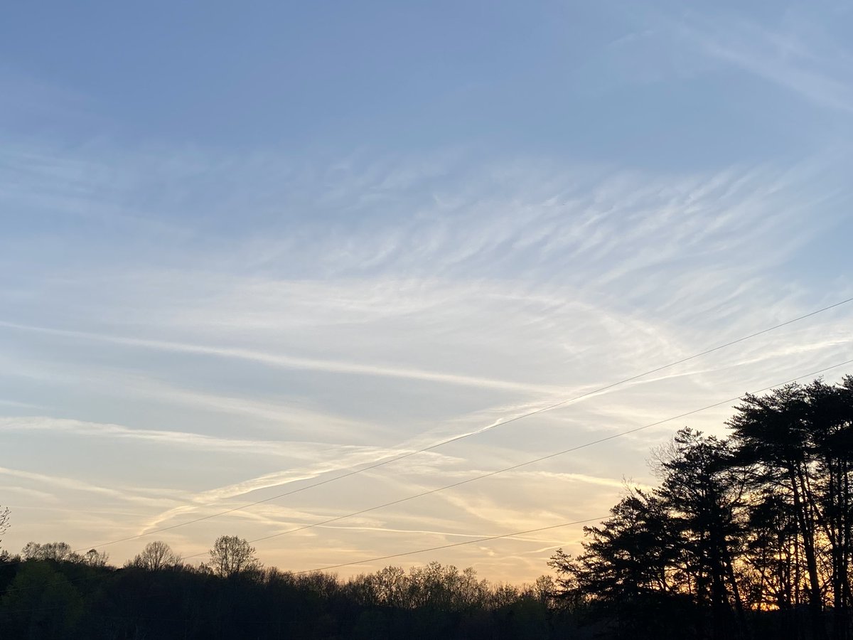 Springtucky tweet media