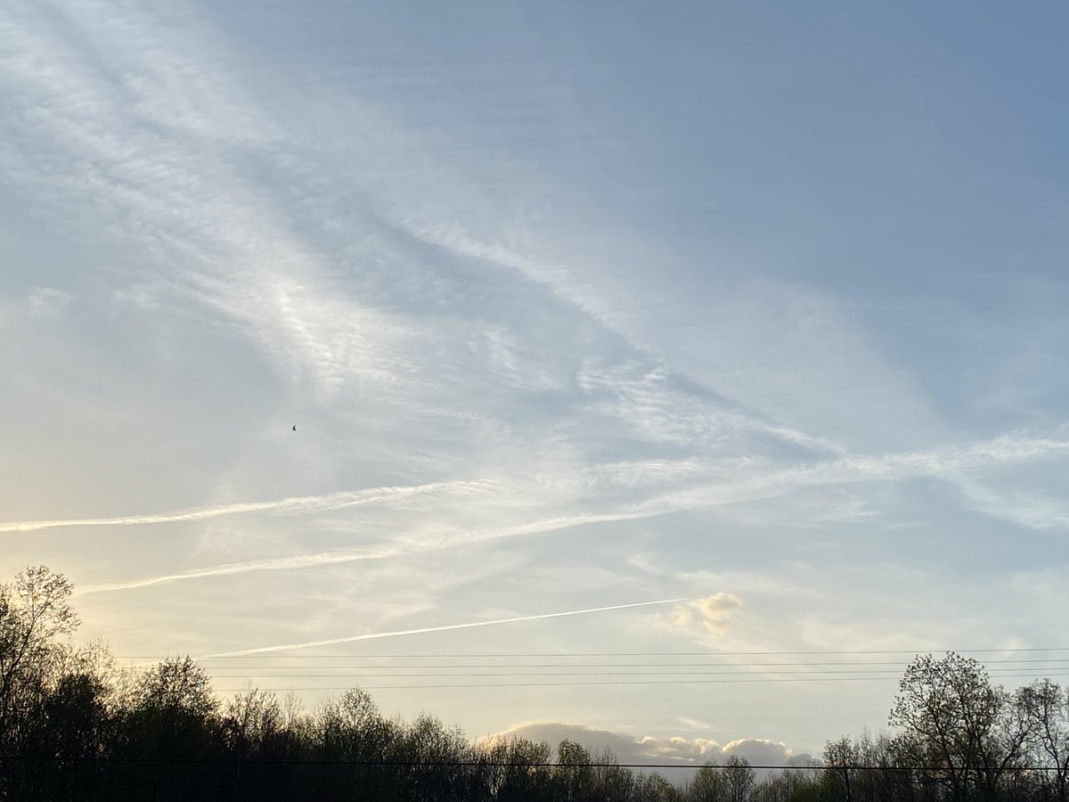 Springtucky tweet media