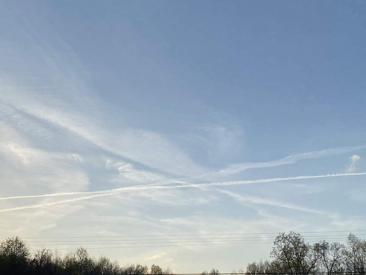 Springtucky tweet media