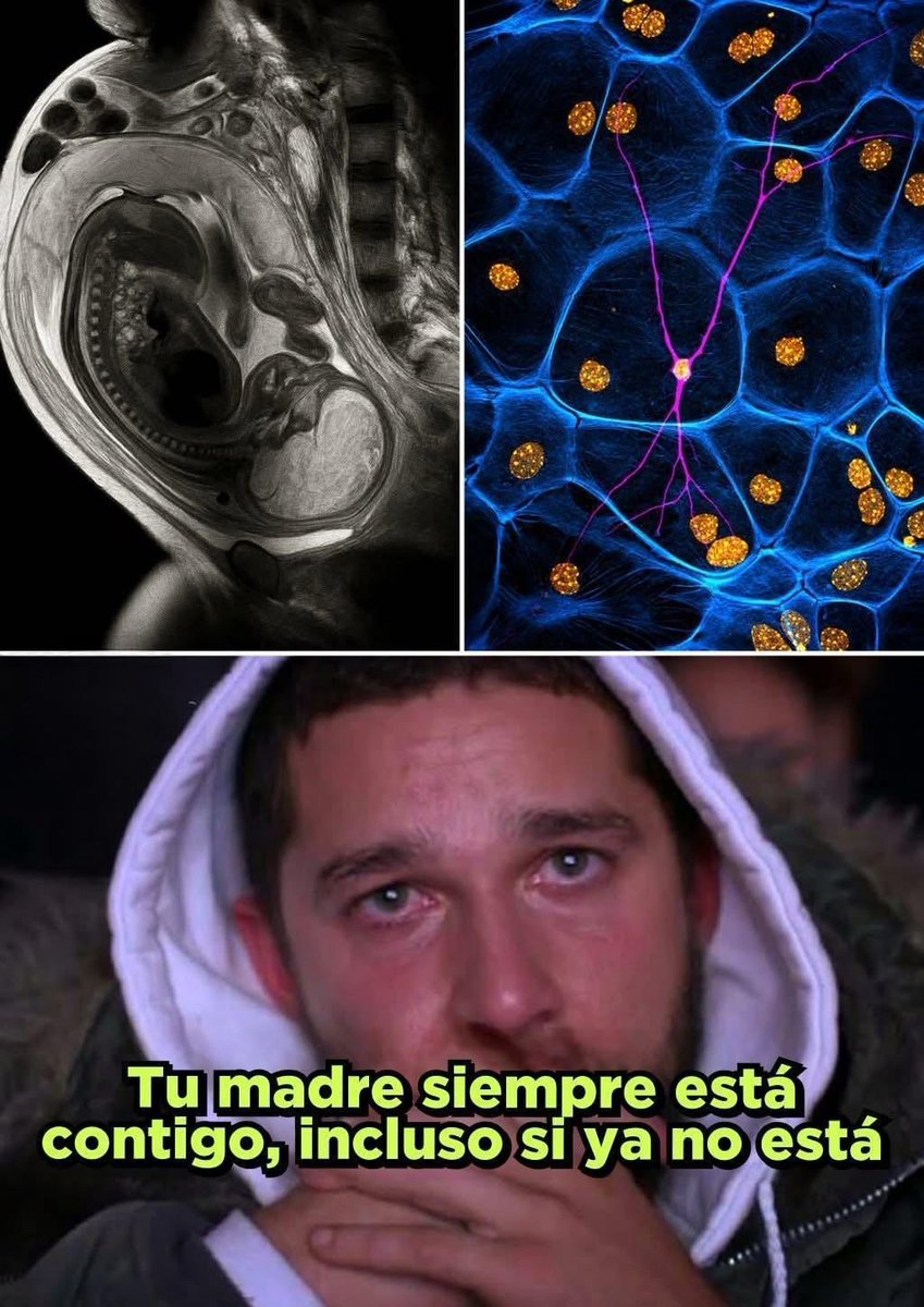 El Chocoflan tweet media