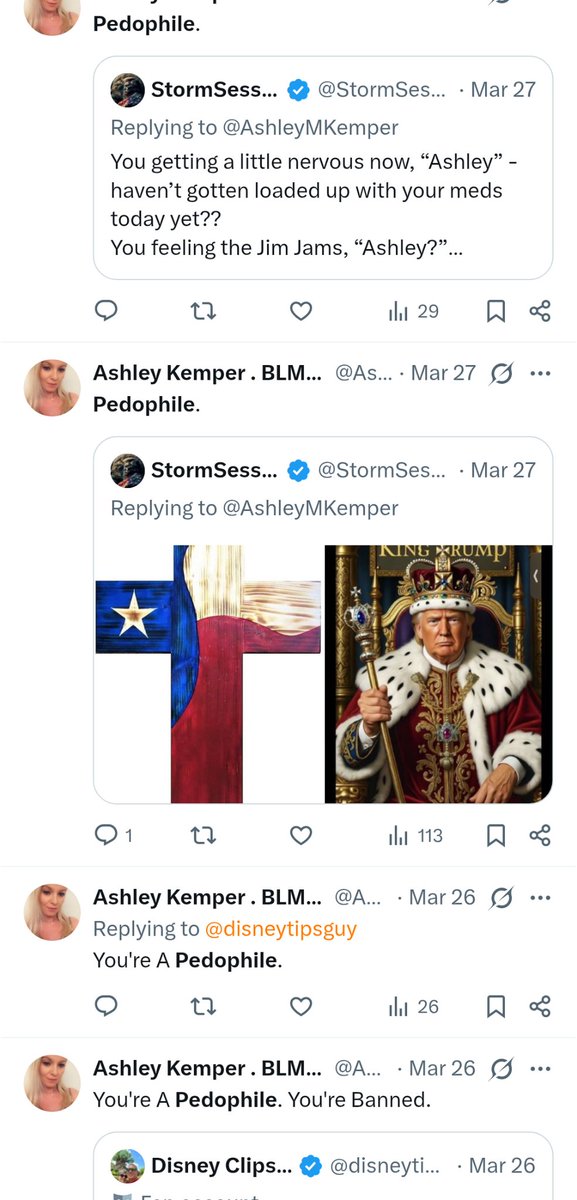 PerryWhiteE29's tweet image. #Xnews: #TwitterAccount @AshleyMKemper am appear to be insulting #BotAccount with particularly vile accusations