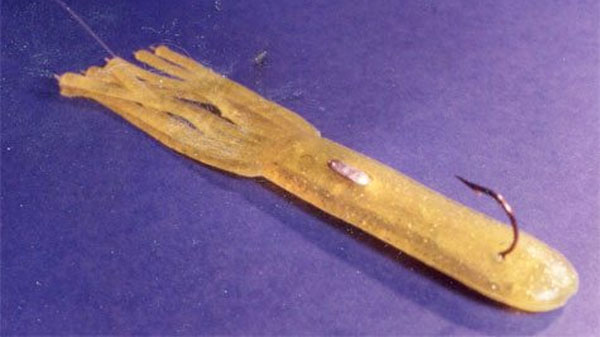 Here's a link to today's BB email plus some pics of what's in there! ➡️ bit.ly/BBMar312026
#bassfishing