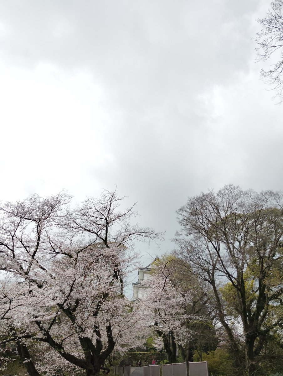 airy_an's tweet photo. おはようございます🌞🏯 https://t.co/1xg4yjXXy6
