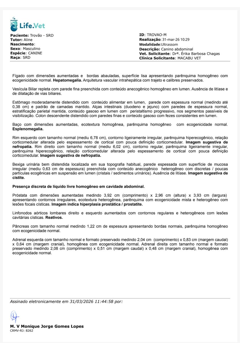 Amigos do Sonso tweet media