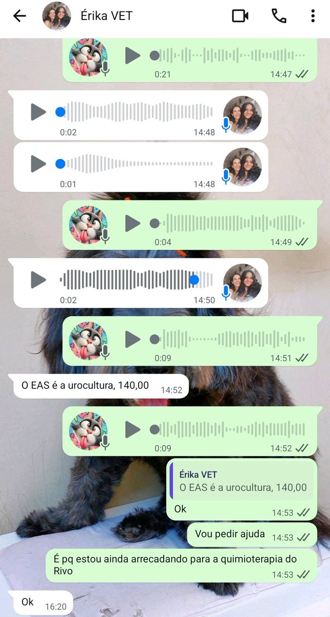 Amigos do Sonso tweet media