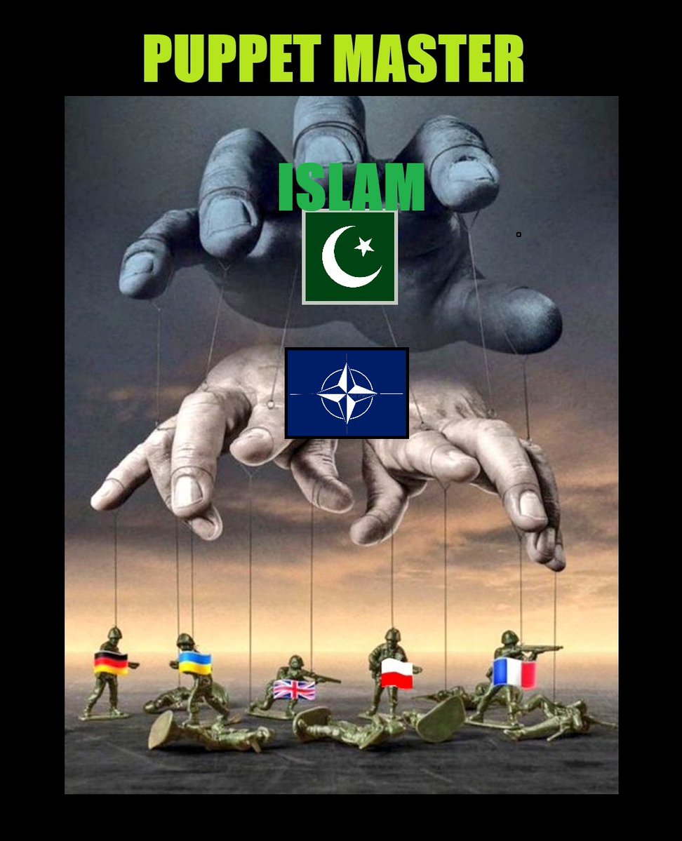 AmericanSanityMagazine tweet media