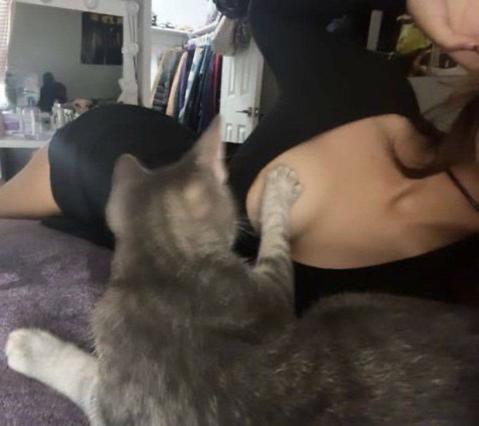 土豆大王 tweet media