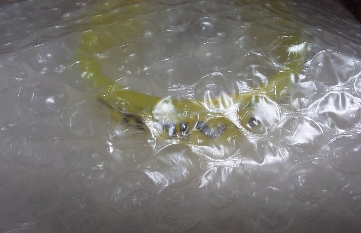 X〼(減量中) tweet media