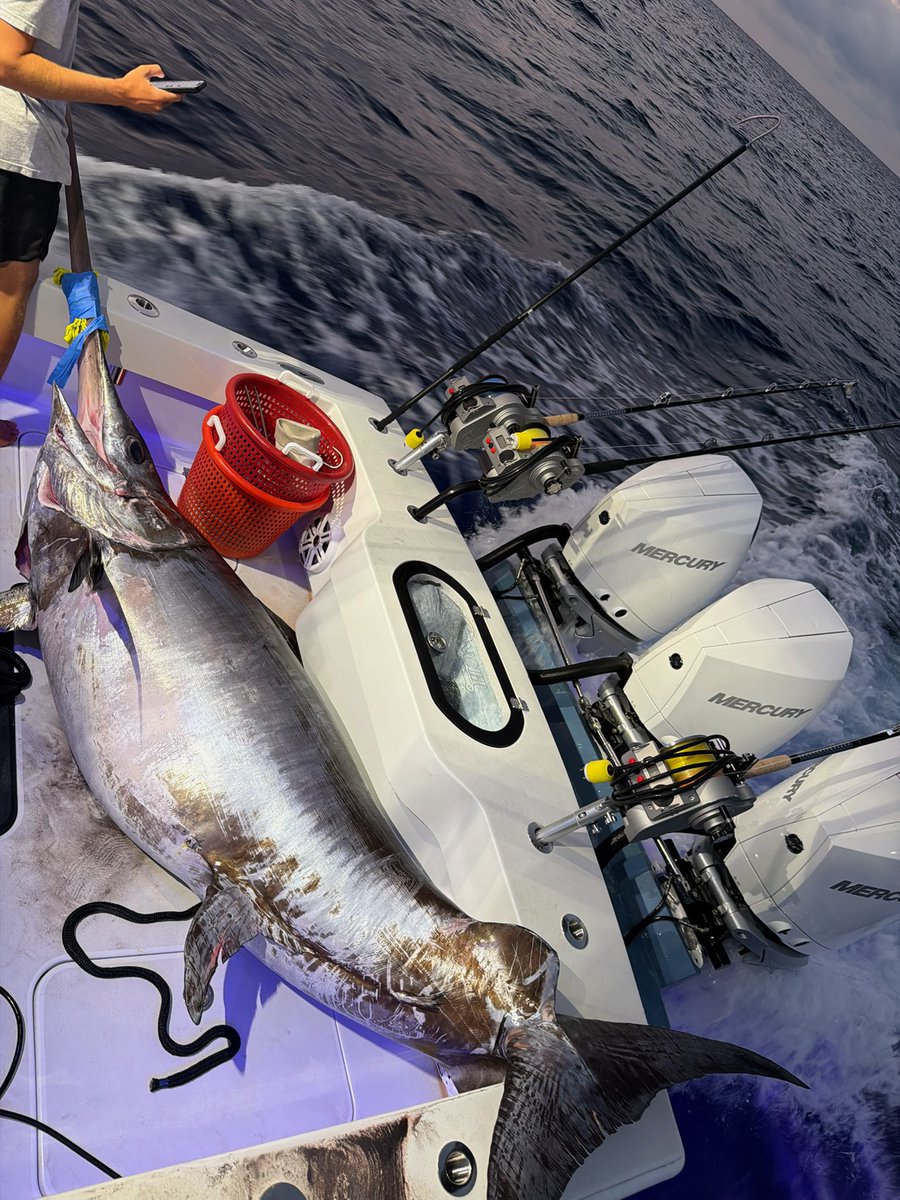 FluidFishing's tweet image. 654 POUNDS of pure power 💥⚔️
This South Florida swordfish is the stuff of legends.
Battles like this don’t happen every day… this is what offshore dreams are made of.
Have you EVER seen — or caught — one this big?!
👇 Drop your biggest swordfish below
#Swordfish