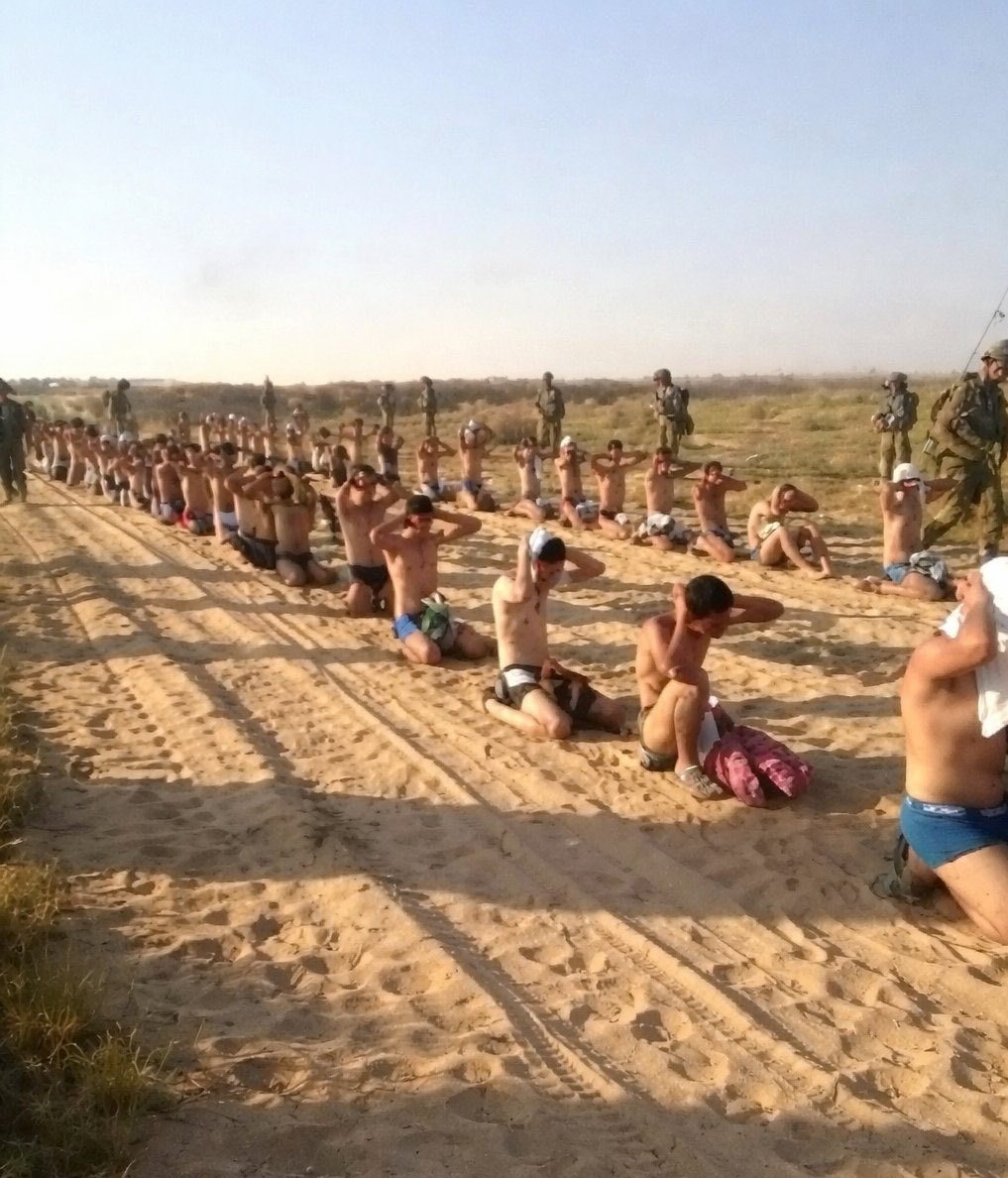 M_Zuber_Safi tweet media