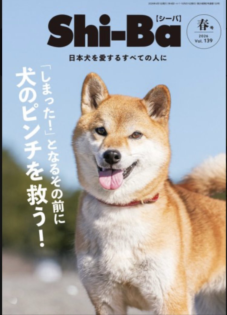 柴犬 赤穂(あこう) tweet media
