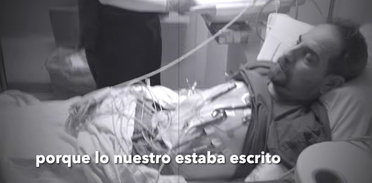 TreviDocumental tweet media