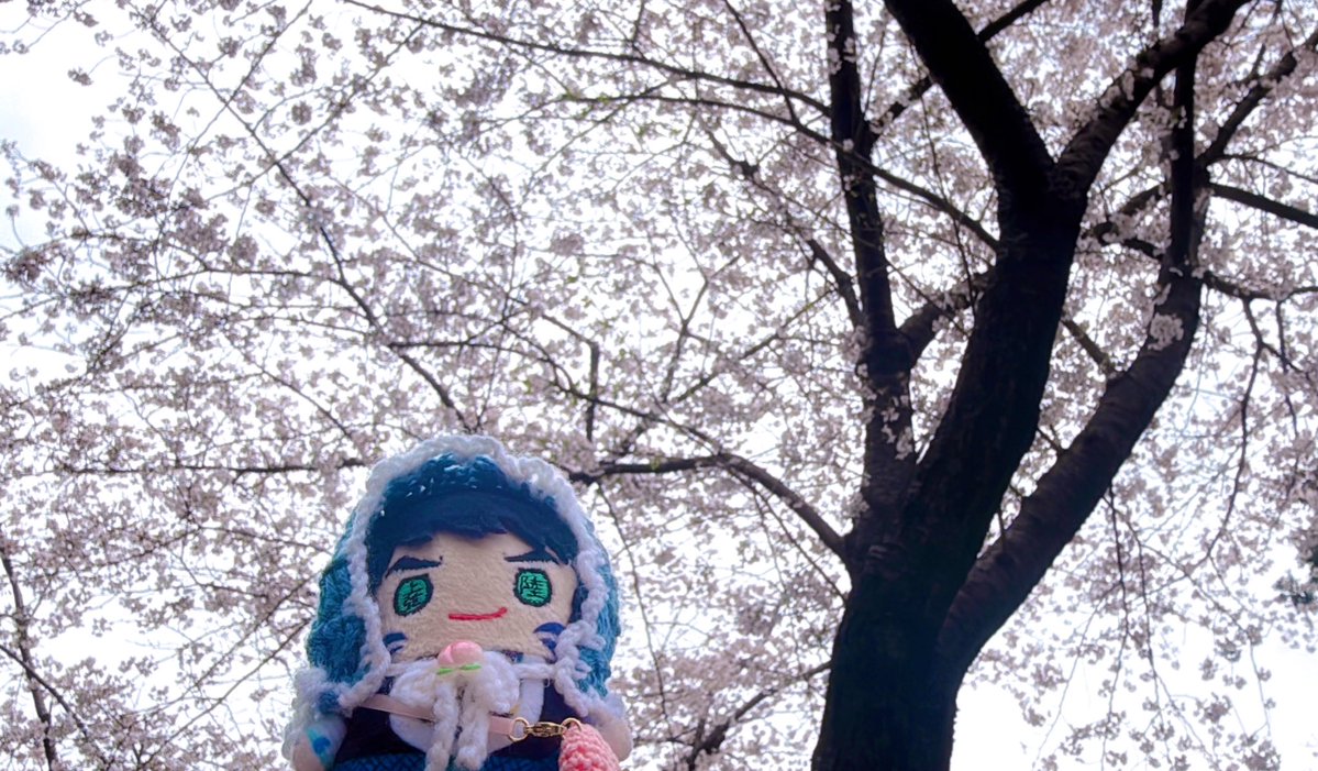 まめ岳くんlog tweet media