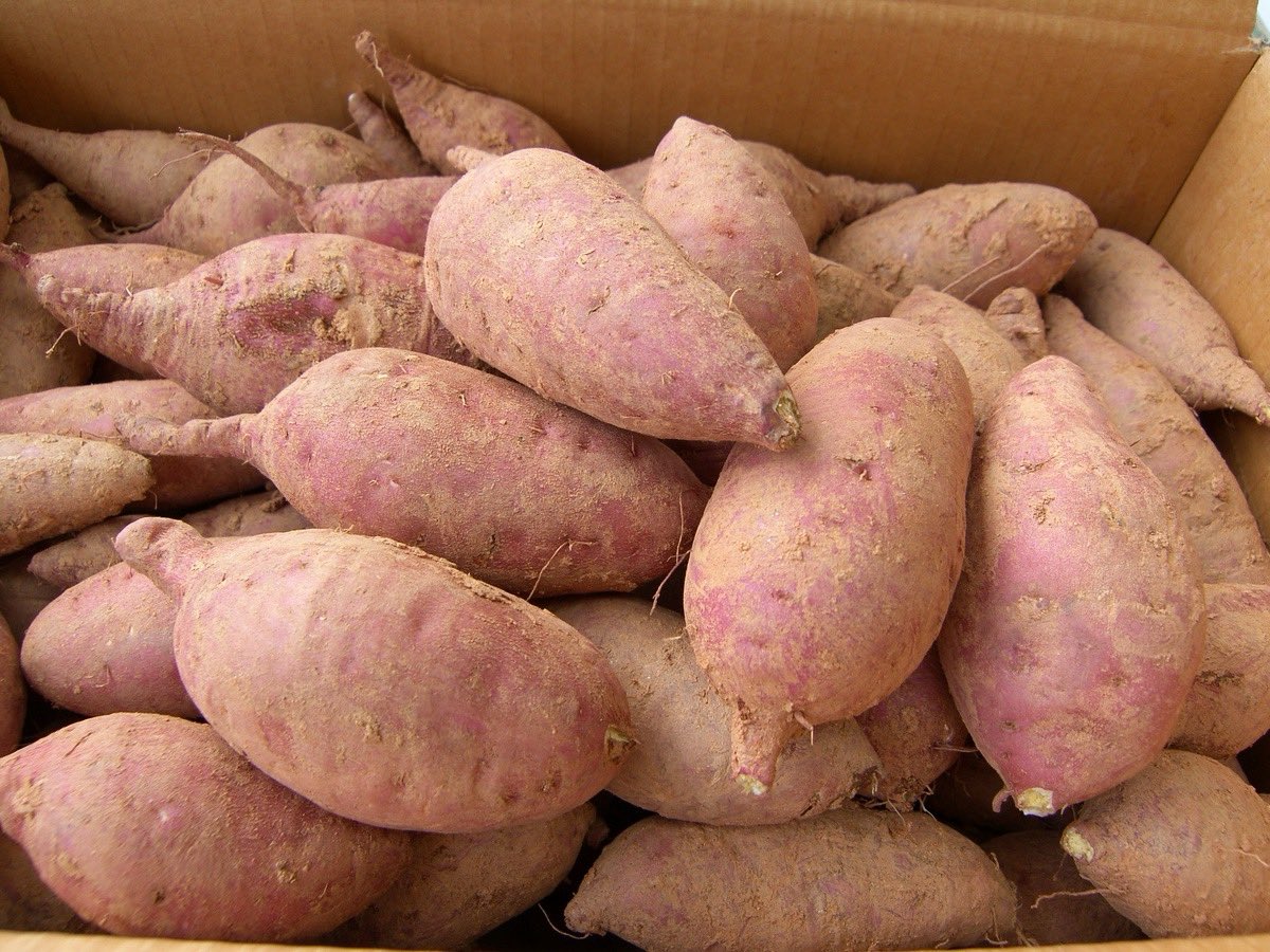 nakyoung source tweet media