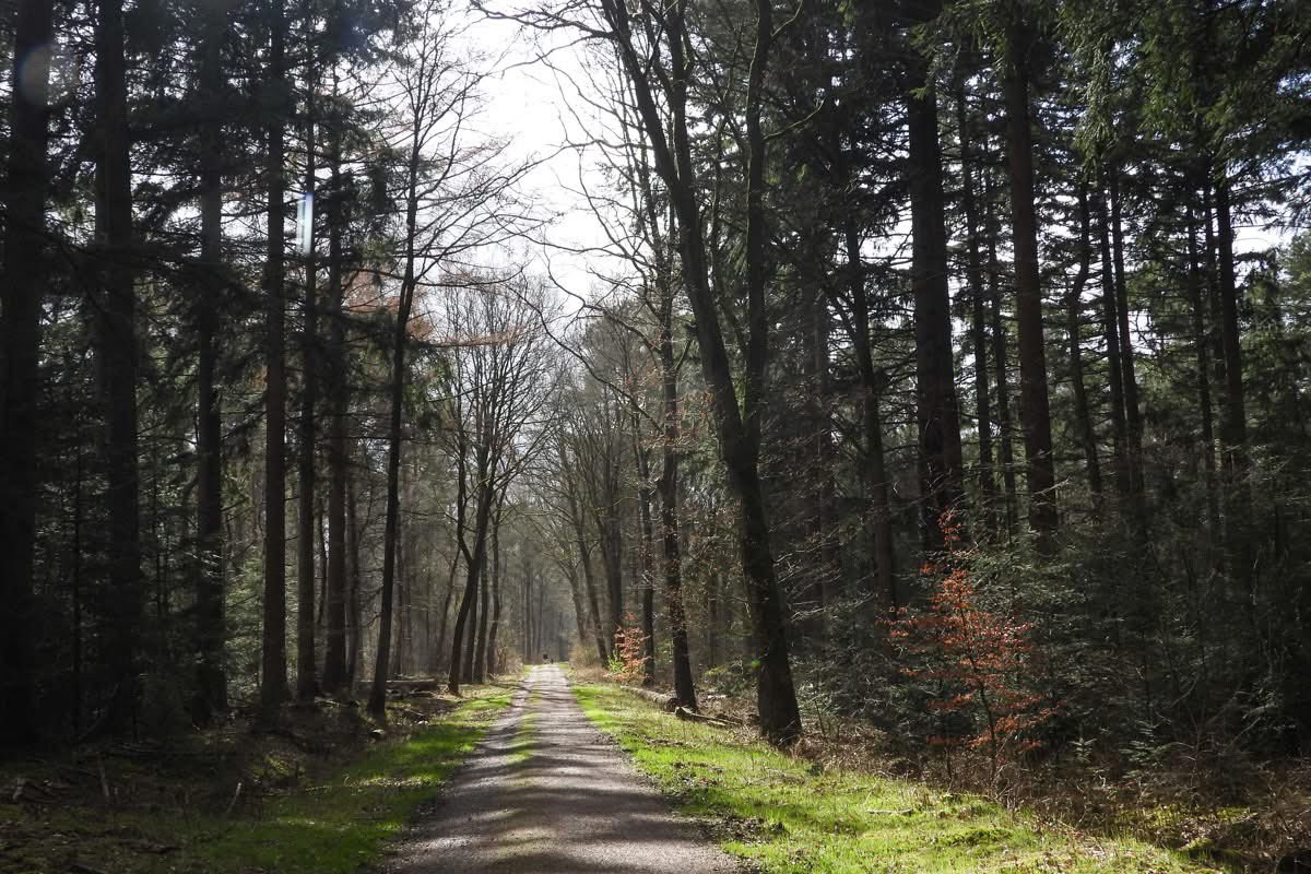 𝖠𝗇𝗍𝗃𝖾 tweet media