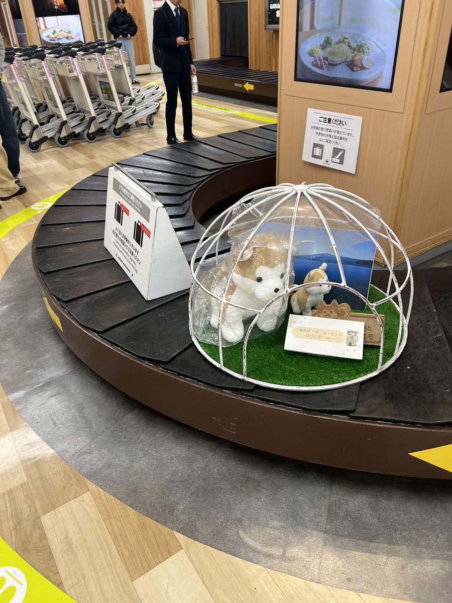 ネギド tweet media