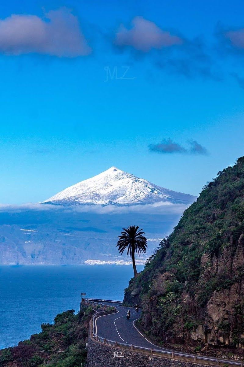 Pinzón Azul 👓 🏊‍♂️🎻 tweet media