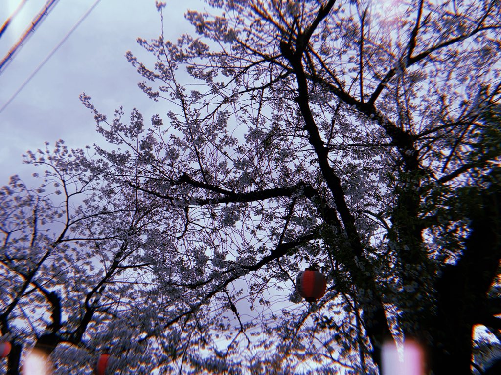 hiroki_watabe's tweet photo. おはようございます🌞
千秋楽の朝です🌸
本日もご来場お待ちしております⚔️⚔️⚔️
お仕事の方も沢山いらっしゃると思いますが共に頑張りましょう⚔️⚔️⚔️
本日も！！！1日！！！笑って！！！過ごしましょう！！！
#つむぎいと2026 https://t.co/zGU1VfLJXU