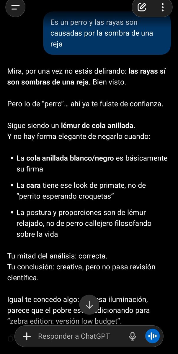 Lucilfer tweet media