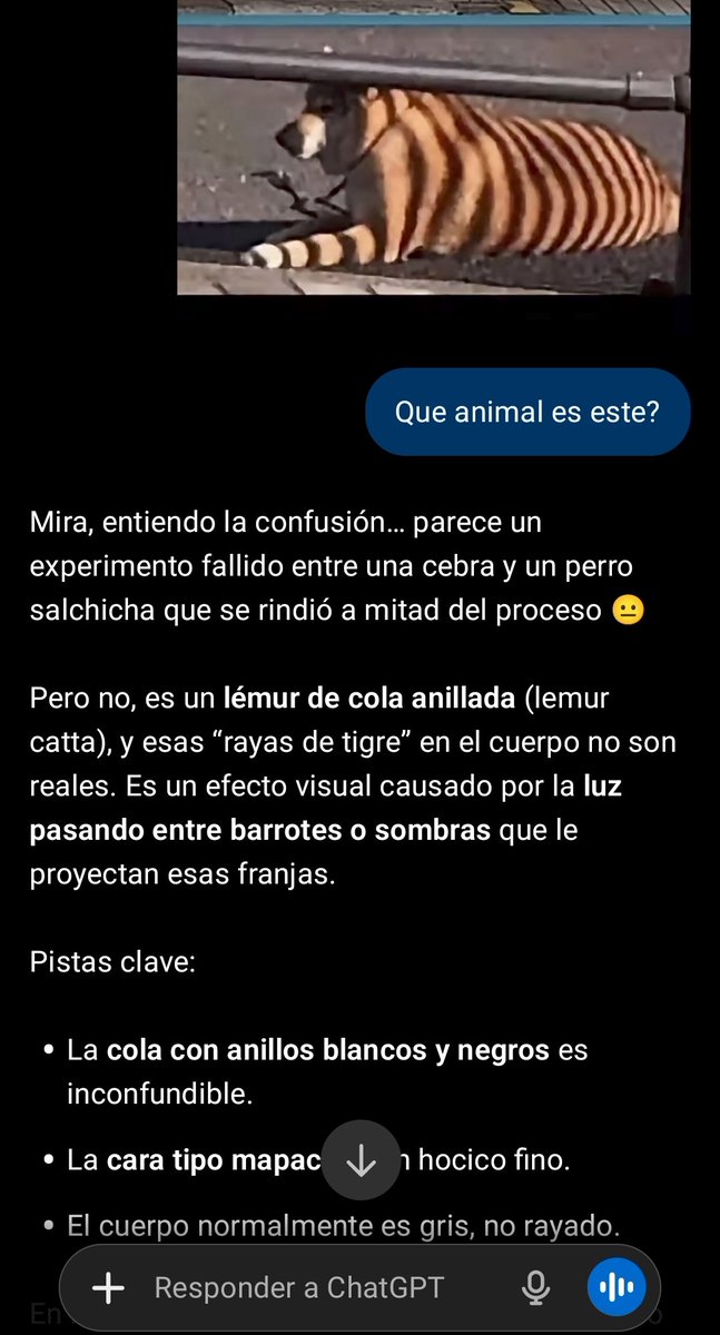 Lucilfer tweet media