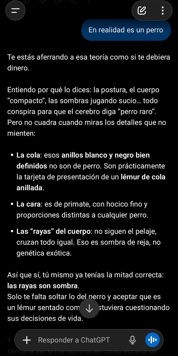 Lucilfer tweet media