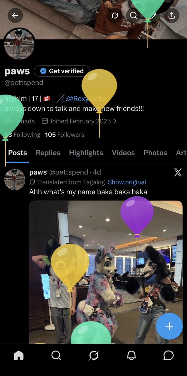 paws tweet media