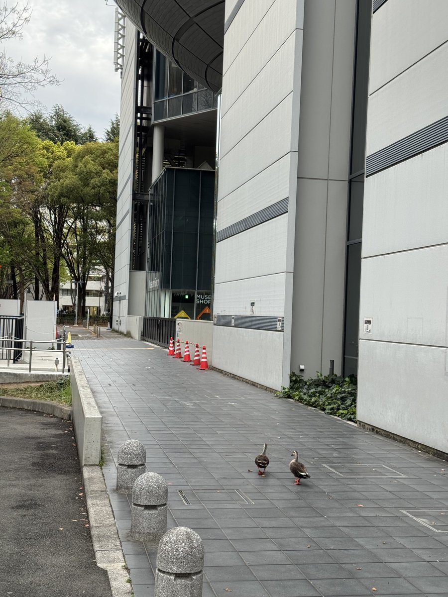 非公式です　FUJIなごや科学館・天文情報 tweet media