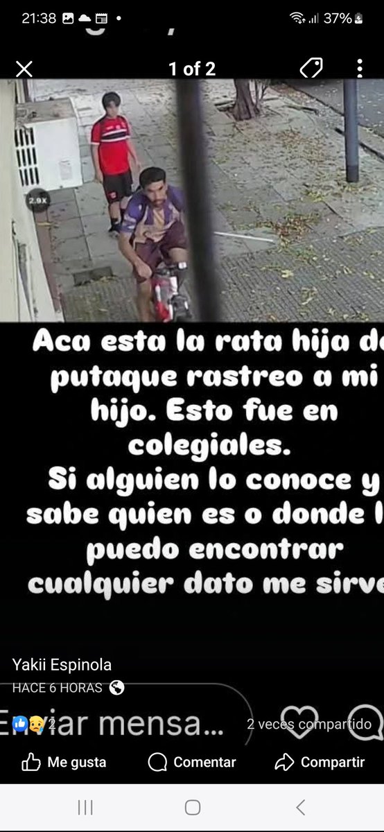 fernanda paolini tweet media