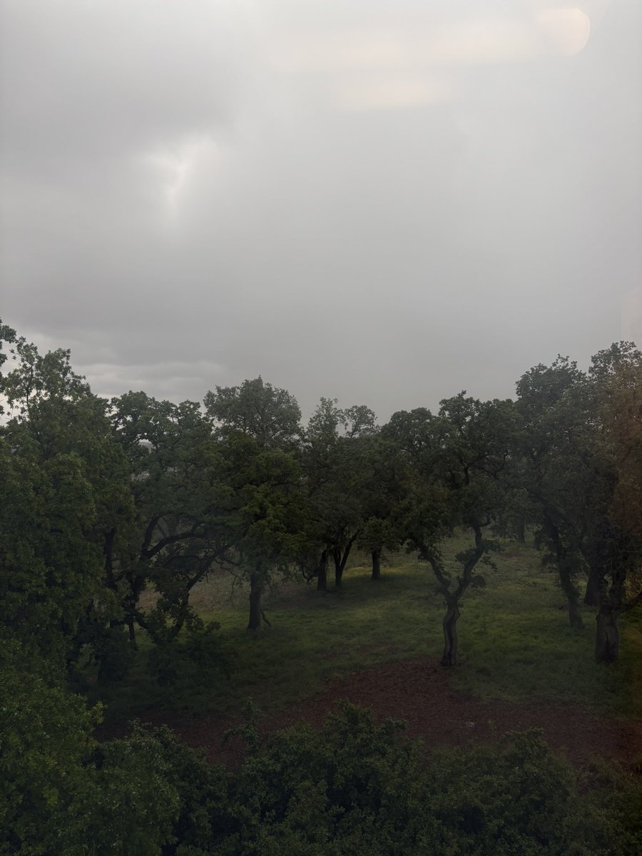 runningawry's tweet image. Work view… #pouring🌧️