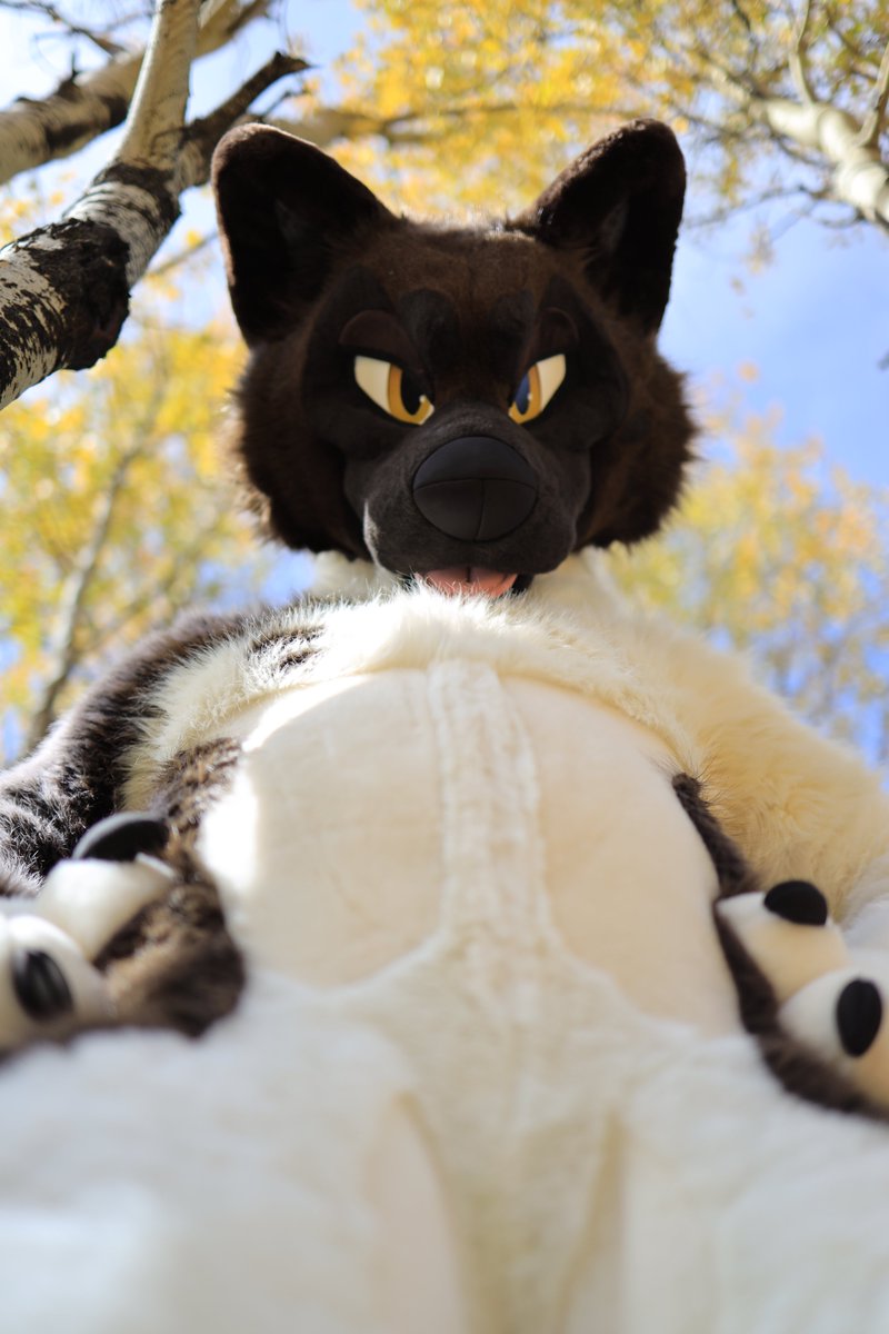 Seirei no Senshi tweet media