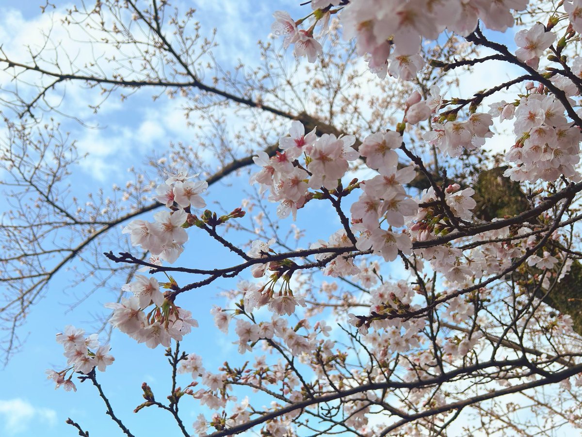 ユニードパック㍿🌈🖋 tweet media