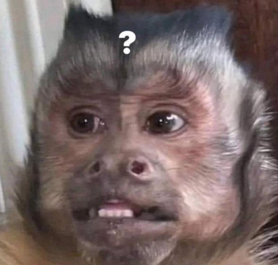 Empanada de repollo tweet media