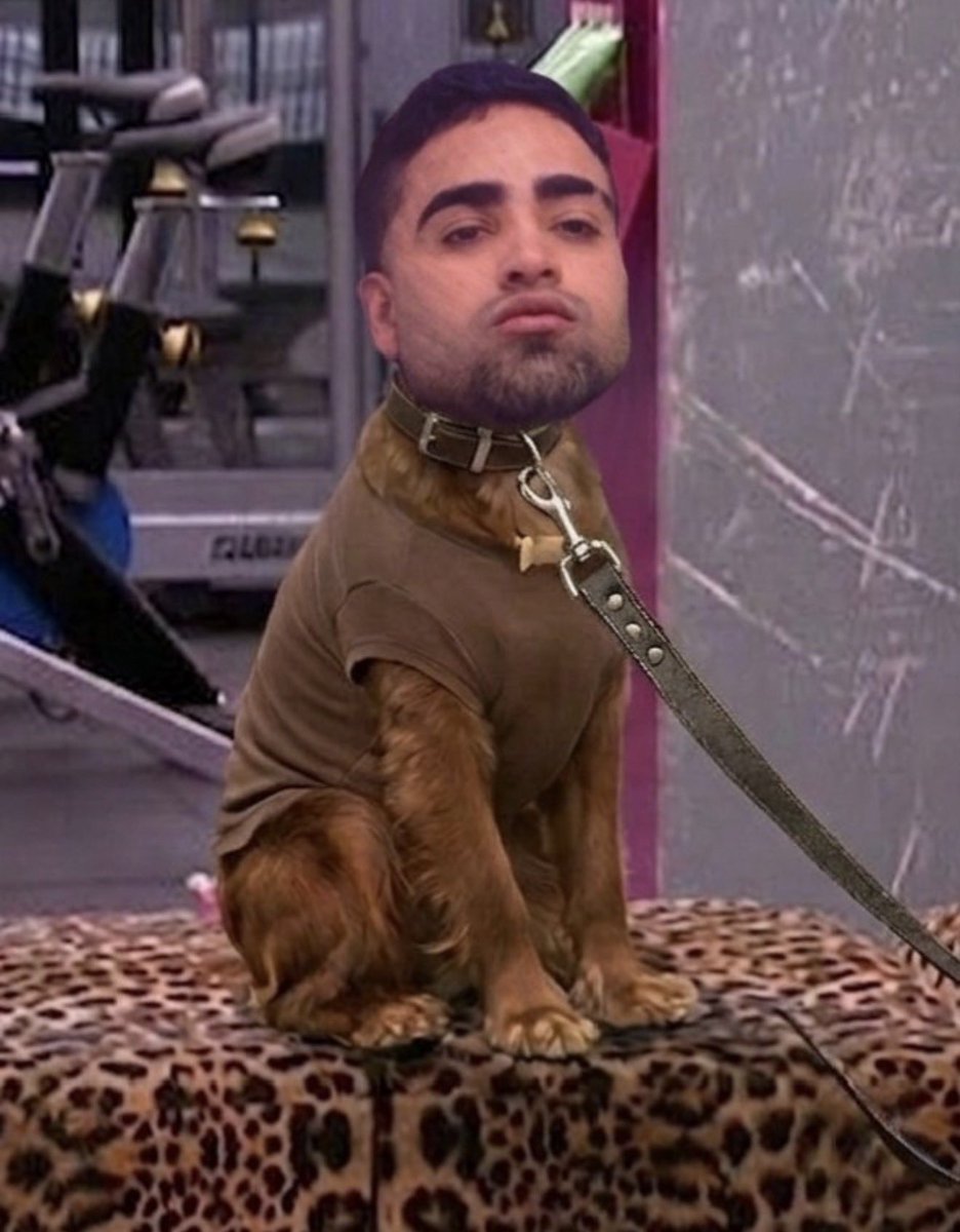 Ya está ladrando la perra está, lloron bobo, sapo hp es lo que eres. #LaCasaDeLosFamososCol3