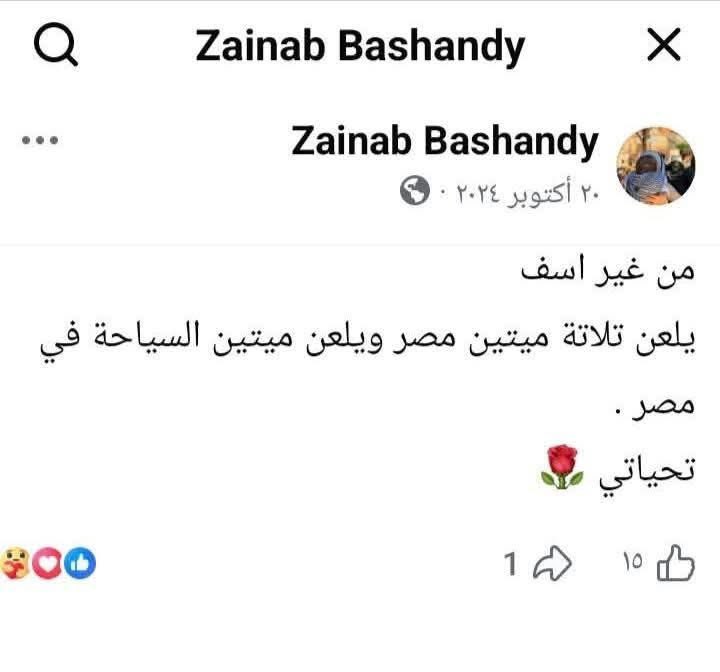 Sherin Helal tweet media