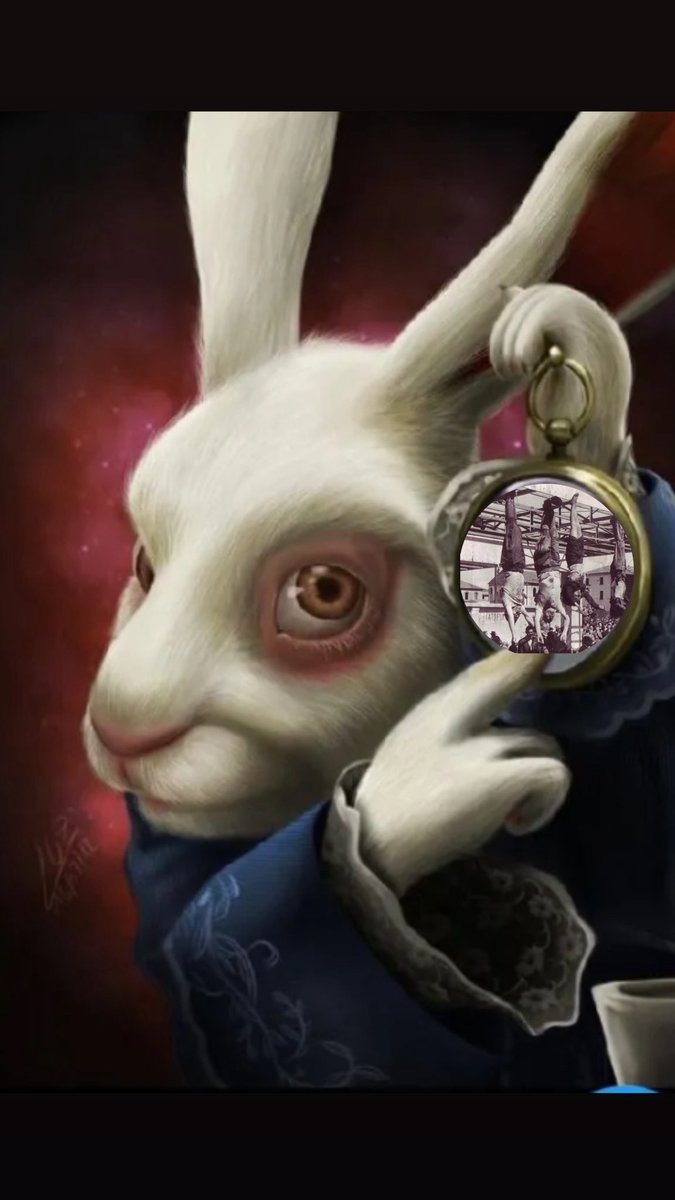 Fupa Enjoyer tweet media