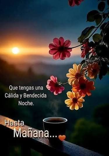 Marí Aveleyra 🌹 tweet media