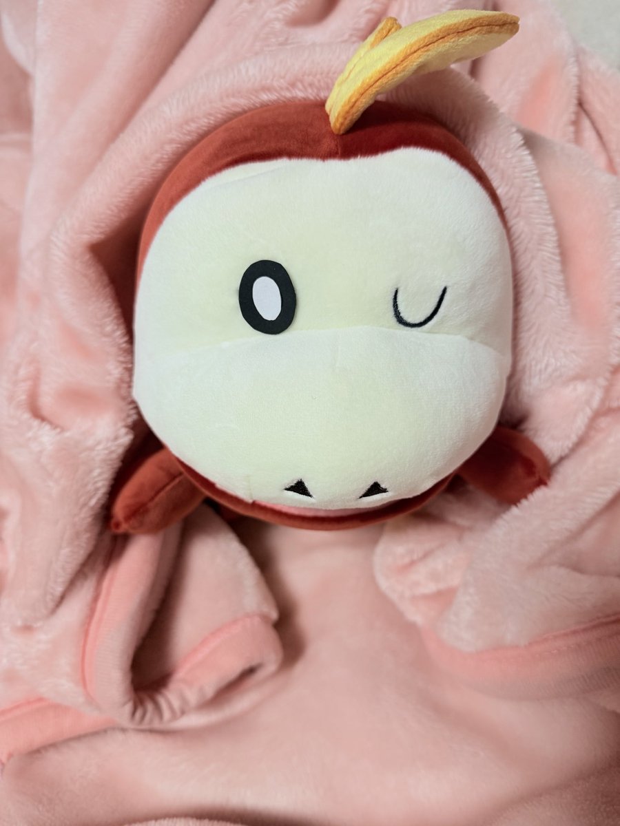 きゅん tweet media