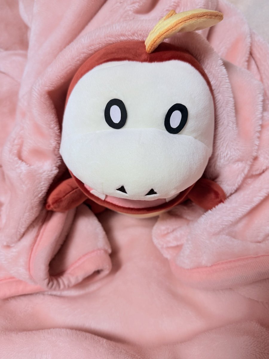 きゅん tweet media